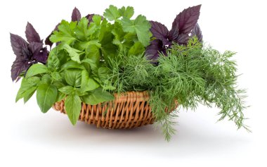 Taze baharat ve otlar üzerinde beyaz arka plan kesme izole hasır sepet içinde. Reyhan, kırmızı fesleğen yaprağı, dereotu ve maydanoz.