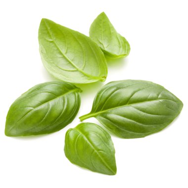 Beyaz arka plan closeup izole avuç fesleğen bitki yaprakları