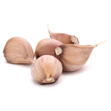 Beyaz arka plan üzerinde kesme izole diş sarımsak