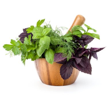 Taze baharatlar ve otlar üzerinde beyaz arka plan kesme izole ahşap harç. Reyhan, kırmızı fesleğen yaprağı, dereotu ve maydanoz.