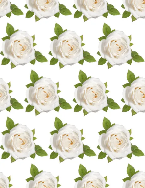 白い背景の切り抜きに隔離された葉を持つ1つの白いバラの花の頭 クリエイティブレイアウト 花のシームレスなパターン — ストック写真