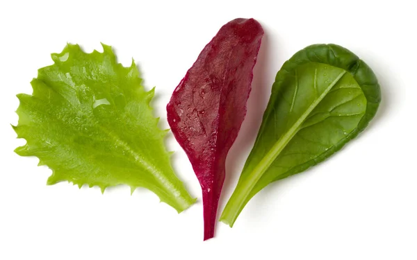 Verschillende Salade Bladeren Handvol Geïsoleerd Witte Achtergrond Bovenaanzicht Vlakke Lay — Stockfoto