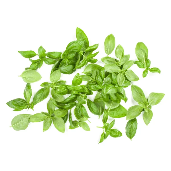 Sweet Genovese Basil Leaves Background Arrangement Isolated White Top View — Stock Photo, Image