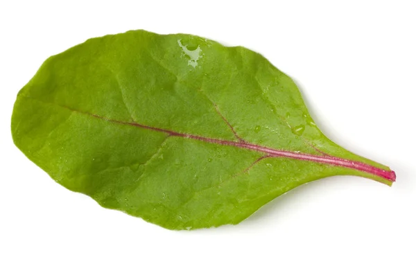 レタスの葉のサラダの一握りは白い背景に隔離された トップビュー フラットレイアウト — ストック写真