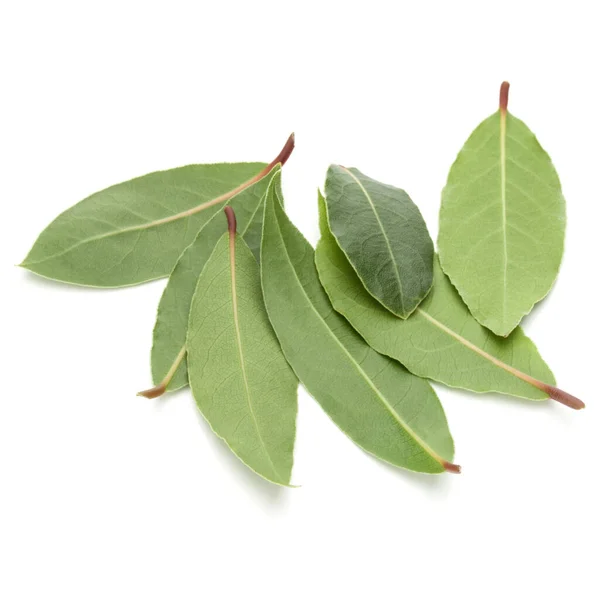 Eucalyptus herb Stock Photos, Royalty Free Eucalyptus herb Images