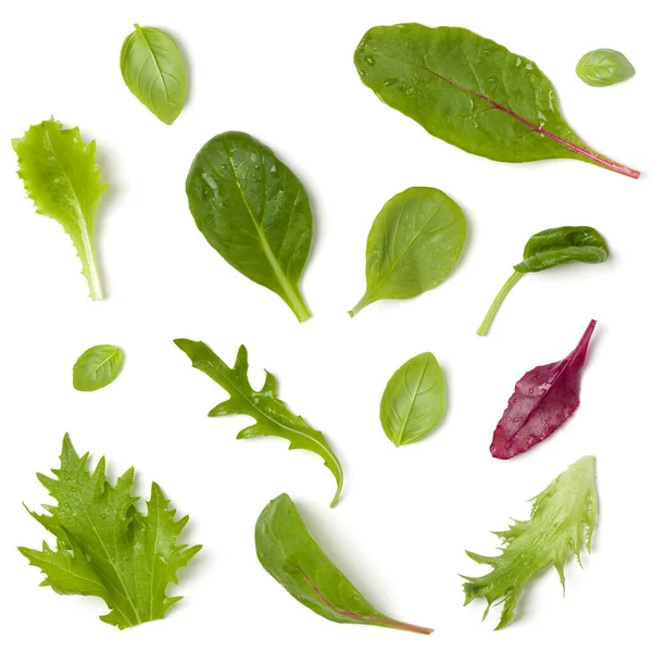 양상추 샐러드 잎으로 만들어 창의적 레이아웃입니다 평평하고 보이는 것이죠 채소들은 — 스톡 사진
