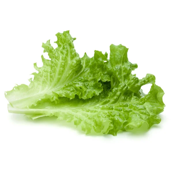 Verse Groene Sla Salade Bladeren Geïsoleerd Witte Achtergrond — Stockfoto