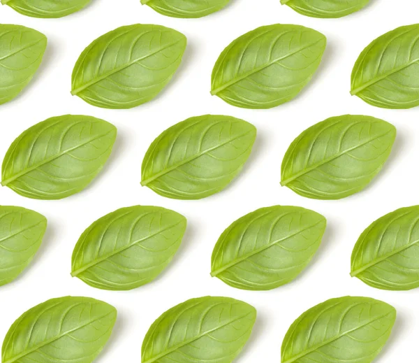 Sweet Basil Herb Leaves Isolated White Background Closeup Flat Lay — Stock Photo, Image