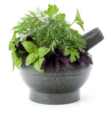 Taze baharatlar ve otlar üzerinde beyaz arka plan kesme izole taş harç. Reyhan, kırmızı fesleğen yaprağı, dereotu ve maydanoz.