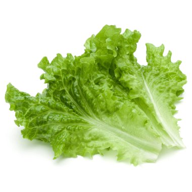 Beyaz arka planda taze yeşil marul salatası yaprakları