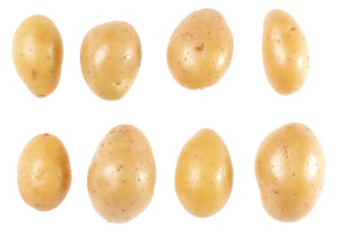 Patates beyaz arka plan üzerinde izole ayarlayın. Üst te. Düz döşeme deseni. Havada patates, gölge olmadan.