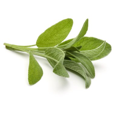 Beyaz arka plan kesme izole buket adaçayı bitki yaprakları.