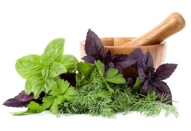 Taze baharatlar, otlar ve beyaz arka planda izole edilmiş ahşap havan. Tatlı fesleğen, kırmızı fesleğen, dereotu ve maydanoz.