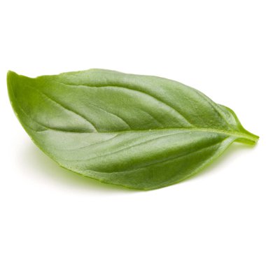 Beyaz arka plan closeup izole fesleğen bitki yaprakları