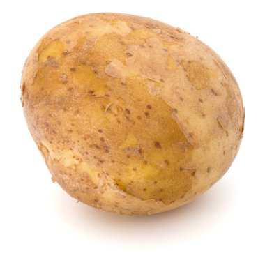 Beyaz arka plan üzerinde kesme izole yeni patates yumru