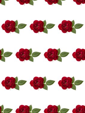 one red rose flower with leaves isolated on white background cutout. Floral seamless pattern.