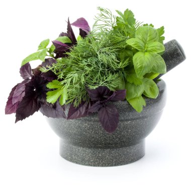 Taze baharatlar ve otlar üzerinde beyaz arka plan kesme izole taş harç. Reyhan, kırmızı fesleğen yaprağı, dereotu ve maydanoz.