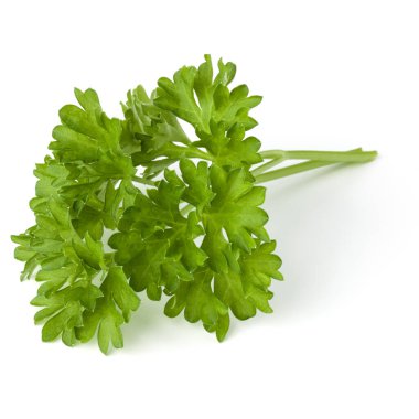 Beyaz arka plan kesme izole demet maydanoz yaprakları