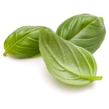 Beyaz arka plan closeup izole fesleğen bitki yaprakları