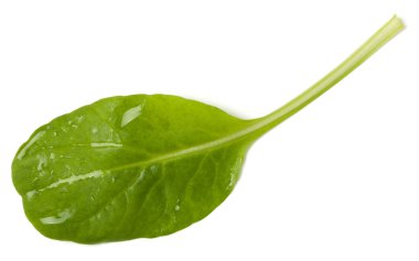 Ispanak yaprağı beyaz arka plan üzerinde izole. Üst görünüm, düz yatıyordu.