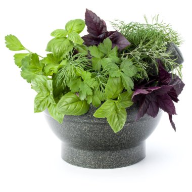 Taze baharatlar ve otlar üzerinde beyaz arka plan kesme izole taş harç. Reyhan, kırmızı fesleğen yaprağı, dereotu ve maydanoz.