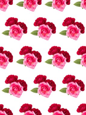 Beyaz arka planda yeşil yapraklı kırmızı ve pembe gül buketi. Çiçeksiz desen...