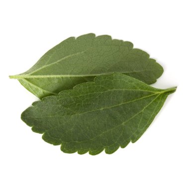 Stevia adet izole om beyaz arka plan kesip bırakır.