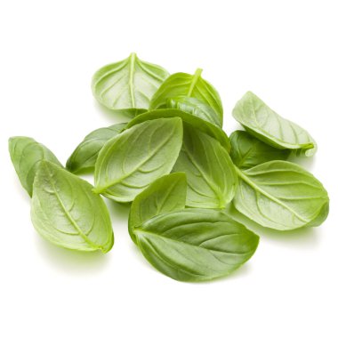 Beyaz arka plan closeup izole avuç fesleğen bitki yaprakları