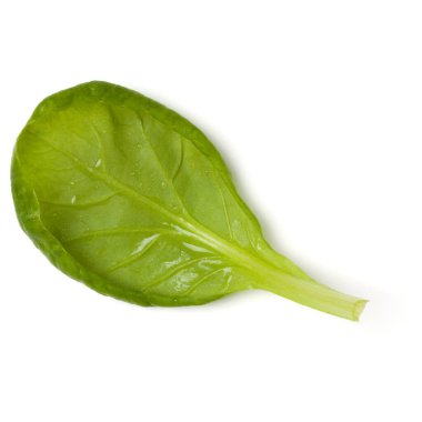 Ispanak yaprağı beyaz arka plan üzerinde izole. Üst görünüm, düz yatıyordu...