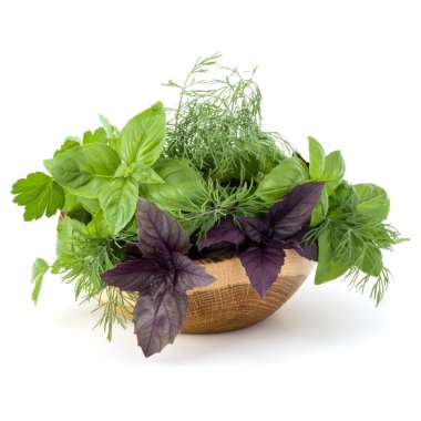 Taze baharat ve otlar üzerinde beyaz arka plan kesme izole hasır sepet içinde. Reyhan, kırmızı fesleğen yaprağı, dereotu ve maydanoz.