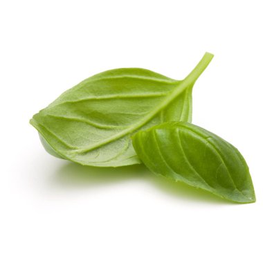 Beyaz arka plan closeup izole fesleğen bitki yaprakları