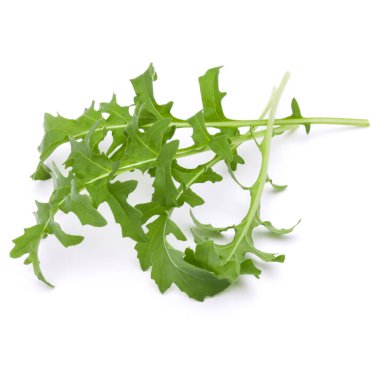 Taze rucola yaprakları yeşil beyaz arka plan üzerinde izole stüdyo çekim kapatın. Roket salata veya roka.