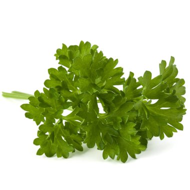 Beyaz arka plan kesme izole demet maydanoz yaprakları