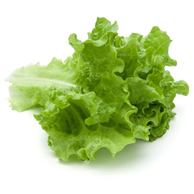 Beyaz arka planda taze yeşil marul salatası yaprakları