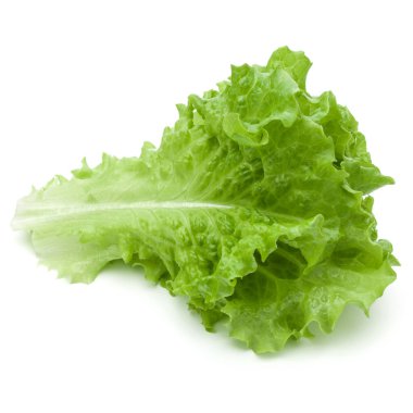 Beyaz arka planda taze yeşil marul salatası yaprakları