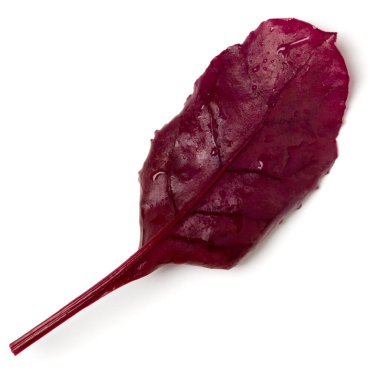 Beyaz arka planda bir avuç marul yaprağı var. Üst manzara, düz uzanma.