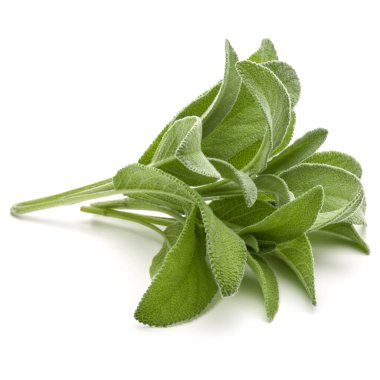 Beyaz arka plan kesme izole buket adaçayı bitki yaprakları.