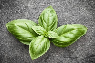 Reyhan gri taş arka plan üzerinde bırakır. Üstten Görünüm.