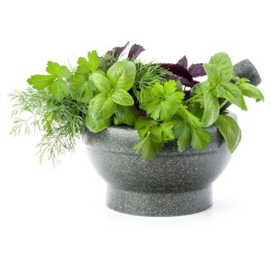 Taze baharatlar ve otlar üzerinde beyaz arka plan kesme izole taş harç. Reyhan, kırmızı fesleğen yaprağı, dereotu ve maydanoz.