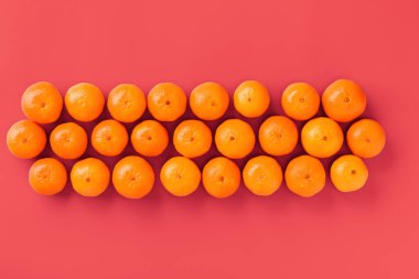 Canlı mercan arka plan taze portakal mandalina veya mandalina meyve desen. Düz yatıyordu, üstten bak. Pop art tasarımı, yaratıcı yaz konsepti. Minimal tarzda narenciye.