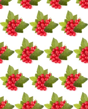 Kırmızı kuş üzümü beyaz arka plan kesim izole. Yaratıcı düzen, meyve dikişsiz desen.