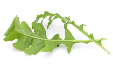Taze rucola yaprakları yeşil beyaz arka plan üzerinde izole stüdyo çekim kapatın. Roket salata veya roka.