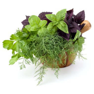 Taze baharatlar ve otlar üzerinde beyaz arka plan kesme izole ahşap harç. Reyhan, kırmızı fesleğen yaprağı, dereotu ve maydanoz.