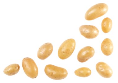 Patates, beyaz arkaplanda metnin için kopyalama alanı ile izole edilmiş. Üst Manzara. Düz bir şekilde yatıyordu. Patatesler havada, gölgesiz..