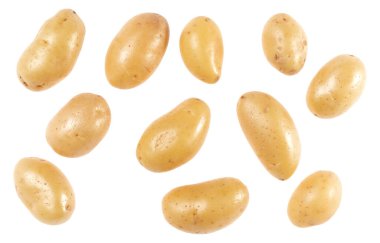 Patates beyaz arka plan üzerinde izole. Üst te. Düz döşeme deseni. Havada patates, gölge olmadan.