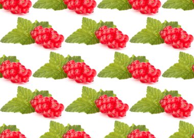 Beyaz arkaplan üzerinde kırmızı üzümler izole edildi. Yaratıcı düzen, meyvesiz desen.