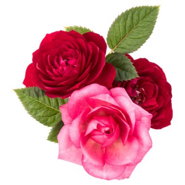 Kırmızı ve pembe Gül çiçek buketi beyaz arka plan kesme izole yeşil yaprakları ile