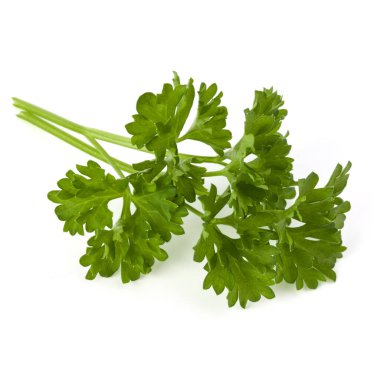 Beyaz arka plan kesme izole demet maydanoz yaprakları