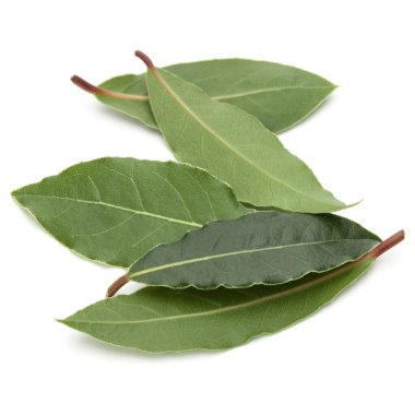 aromatik defne yaprağı üzerinde beyaz bir arka plan kesme izole