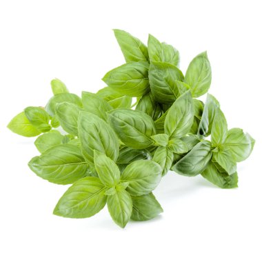 Beyaz arka plan kesme izole taze tatlı Cenevizli fesleğen buket.